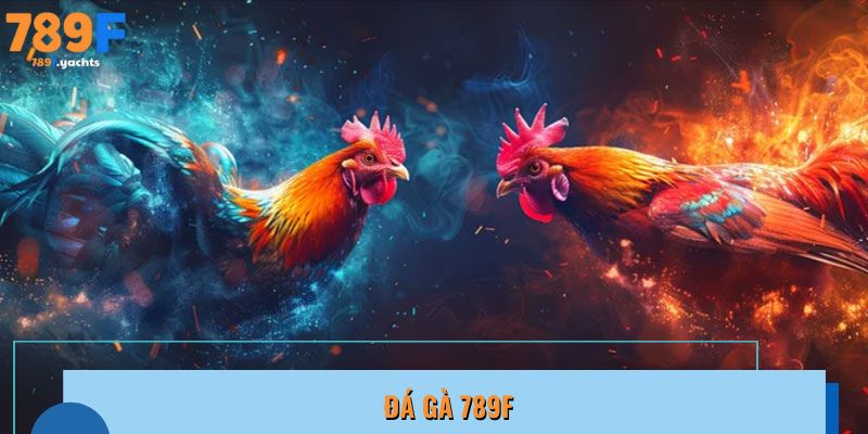Đá gà 789F